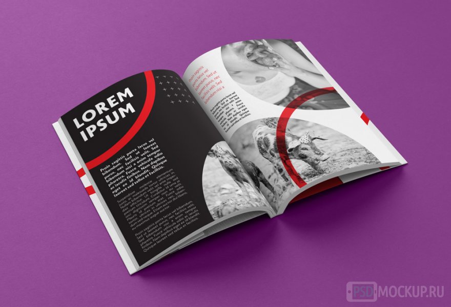 Мокап развернутой книги