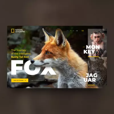 PSD макет National Geographic